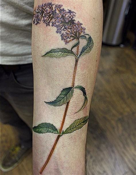 butterfly bush tattoo|butterfly tattoo images.